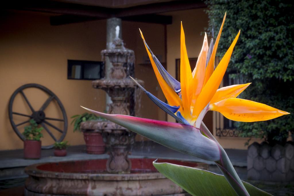 Hotel El Pueblito De Fortin Fortín de las Flores Exterior foto